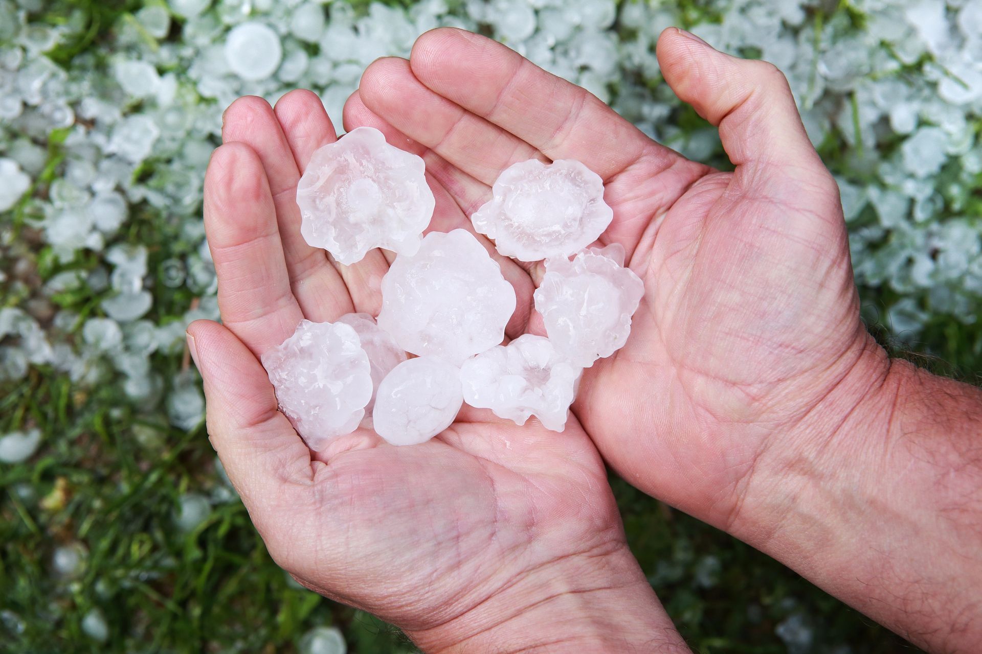 Siding; Damage; Hail